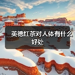 英德红茶对人体有什么好处(图3) 英德红茶对人体有什么好处(图3)