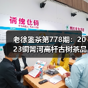 老徐鉴茶第778期：2023铜箐河高杆古树茶品鉴报告（广东茶友寄）（图1）