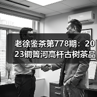 老徐鉴茶第778期：2023铜箐河高杆古树茶品鉴报告（广东茶友寄）（图4）