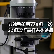 老徐鉴茶第778期：2023铜箐河高杆古树茶品鉴报告（广东茶友寄）（图2）