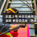 新品上市 中茶云南普洱茶砖 枣香普洱茶(熟茶)紧压茶(图3) 新品上市 中茶云南普洱茶砖 枣香普洱茶(熟茶)紧压茶(图3)