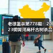 老徐鉴茶第778期：2023铜箐河高杆古树茶品鉴报告（广东茶友寄）（图3）
