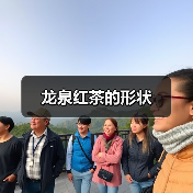 龙泉红茶的形状(图3) 龙泉红茶的形状(图3)