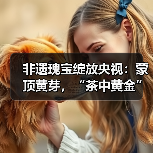 非遗瑰宝绽放央视:蒙顶黄芽,“茶中黄金”香飘全国(图1) 非遗瑰宝绽放央视:蒙顶黄芽,“茶中黄金”香飘全国(图1)