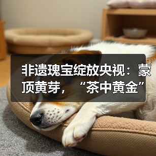 非遗瑰宝绽放央视:蒙顶黄芽,“茶中黄金”香飘全国(图2) 非遗瑰宝绽放央视:蒙顶黄芽,“茶中黄金”香飘全国(图2)
