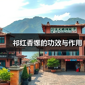 祁红香螺的功效与作用（图4）