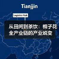 从田间到茶饮：栀子花全产业链的产业蜕变（图2）