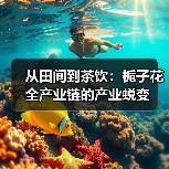 从田间到茶饮：栀子花全产业链的产业蜕变（图4）