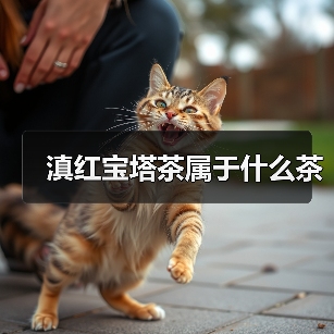 滇红宝塔茶属于什么茶（图3）