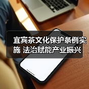 宜宾茶文化保护条例实施 法治赋能产业振兴(图3) 宜宾茶文化保护条例实施 法治赋能产业振兴(图3)