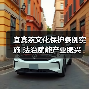 宜宾茶文化保护条例实施 法治赋能产业振兴(图1) 宜宾茶文化保护条例实施 法治赋能产业振兴(图1)