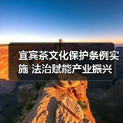 宜宾茶文化保护条例实施 法治赋能产业振兴(图2) 宜宾茶文化保护条例实施 法治赋能产业振兴(图2)