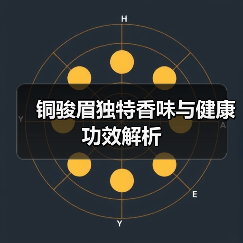 铜骏眉独特香味与健康功效解析（图4）