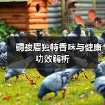 铜骏眉独特香味与健康功效解析