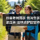 班章老树圆茶 普洱生茶紧压茶 滋味浓酽回甘持久（图1）