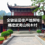 金骏眉最佳产地探秘：福建武夷山桐木村