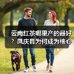 云南红茶哪里产的最好？凤庆县为何成为核心产区（图2）