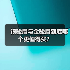 银骏眉与金骏眉到底哪个更值得买？（图2）