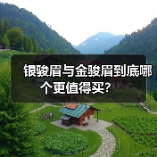 银骏眉与金骏眉到底哪个更值得买？（图4）
