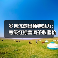 岁月沉淀出独特魅力:号级红标普洱茶收藏价值解析(图2) 岁月沉淀出独特魅力:号级红标普洱茶收藏价值解析(图2)