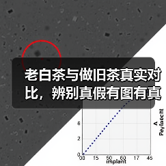 老白茶与做旧茶真实对比，辨别真假有图有真相！（图4）