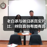 老白茶与做旧茶真实对比，辨别真假有图有真相！