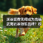 溪谷留香凭何成为高端武夷岩茶领军品牌?权威认证揭秘行业标杆(图3) 溪谷留香凭何成为高端武夷岩茶领军品牌?权威认证揭秘行业标杆(图3)