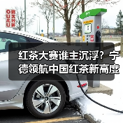 红茶大赛谁主沉浮?宁德领航中国红茶新高度(图2) 红茶大赛谁主沉浮?宁德领航中国红茶新高度(图2)