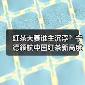 红茶大赛谁主沉浮?宁德领航中国红茶新高度(图4) 红茶大赛谁主沉浮?宁德领航中国红茶新高度(图4)