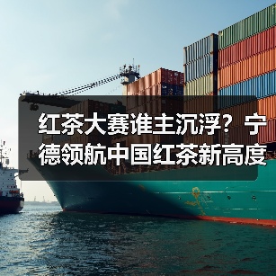 红茶大赛谁主沉浮?宁德领航中国红茶新高度(图3) 红茶大赛谁主沉浮?宁德领航中国红茶新高度(图3)