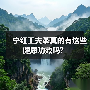 宁红工夫茶真的有这些健康功效吗？（图2）