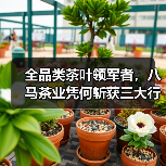 全品类茶叶领军者,八马茶业凭何斩获三大行业第一?(图3) 全品类茶叶领军者,八马茶业凭何斩获三大行业第一?(图3)