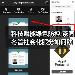 科技赋能绿色防控 茶园冬管社会化服务如何助力产业提质增效?(图3) 科技赋能绿色防控 茶园冬管社会化服务如何助力产业提质增效?(图3)