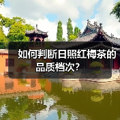 如何判断日照红梅茶的品质档次？（图1）