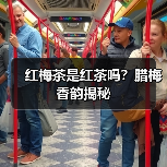 红梅茶是红茶吗？腊梅香韵揭秘（图4）
