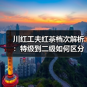 川红工夫红茶档次解析：特级到二级如何区分？（图3）