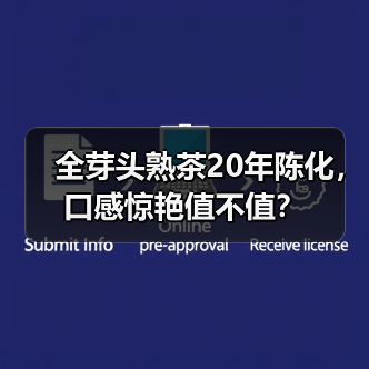 全芽头熟茶20年陈化，口感惊艳值不值？（图4）