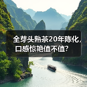 全芽头熟茶20年陈化，口感惊艳值不值？（图2）
