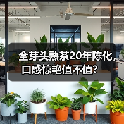 全芽头熟茶20年陈化，口感惊艳值不值？（图3）