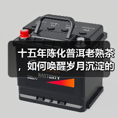 十五年陈化普洱老熟茶,如何唤醒岁月沉淀的醇厚韵味?(图2) 十五年陈化普洱老熟茶,如何唤醒岁月沉淀的醇厚韵味?(图2)