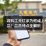政和工夫红茶为何成上品?品质特点全解析(图1) 政和工夫红茶为何成上品?品质特点全解析(图1)
