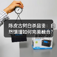 陈皮古树白茶品鉴：自然馈赠如何完美融合？（图2）