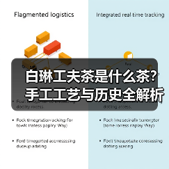 白琳工夫茶是什么茶?手工工艺与历史全解析(图1) 白琳工夫茶是什么茶?手工工艺与历史全解析(图1)