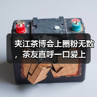 夹江茶博会上圈粉无数,茶友直呼一口爱上(图4) 夹江茶博会上圈粉无数,茶友直呼一口爱上(图4)