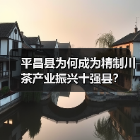 平昌县为何成为精制川茶产业振兴十强县?(图2) 平昌县为何成为精制川茶产业振兴十强县?(图2)