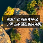 普洱产茶两百年争议:宁洱古茶园逆袭成茶源?(图2) 普洱产茶两百年争议:宁洱古茶园逆袭成茶源?(图2)