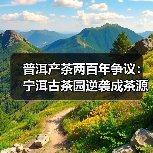 普洱产茶两百年争议:宁洱古茶园逆袭成茶源?(图4) 普洱产茶两百年争议:宁洱古茶园逆袭成茶源?(图4)