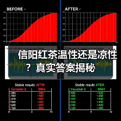 信阳红茶温性还是凉性?真实答案揭秘(图1) 信阳红茶温性还是凉性?真实答案揭秘(图1)
