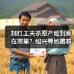 越红工夫茶原产地到底在哪里?绍兴等地藏着它的神秘根源(图2) 越红工夫茶原产地到底在哪里?绍兴等地藏着它的神秘根源(图2)