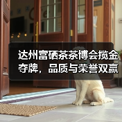 达州富硒茶茶博会揽金夺牌，品质与荣誉双赢（图2）